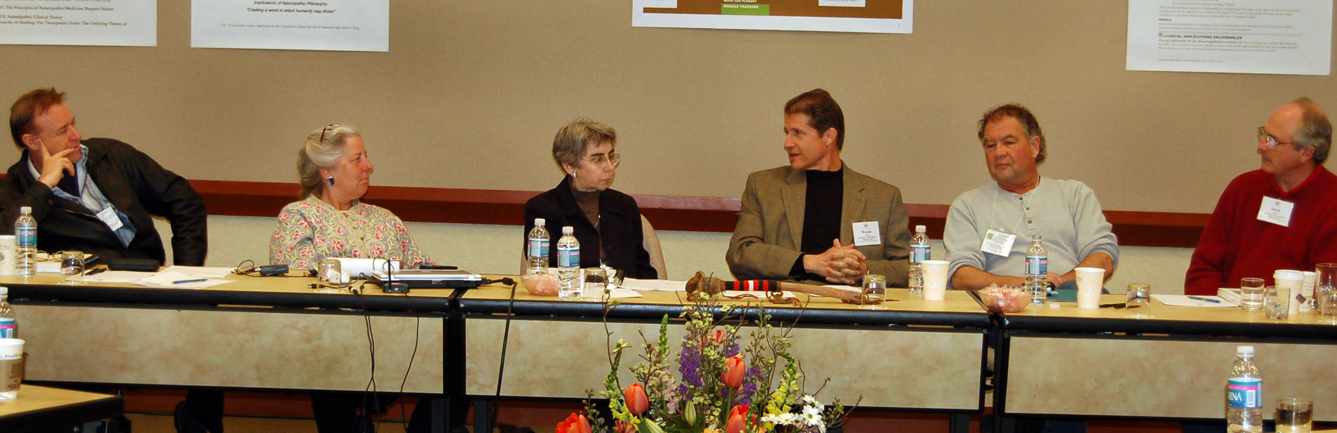A group of doctors working together to codify elder naturopathic wisdom